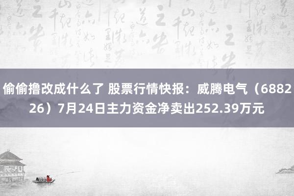 偷偷撸改成什么了 股票行情快报：威腾电气（688226）7月24日主力资金净卖出252.39万元