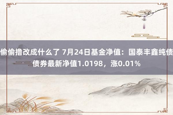 偷偷撸改成什么了 7月24日基金净值：国泰丰鑫纯债债券最新净值1.0198，涨0.01%