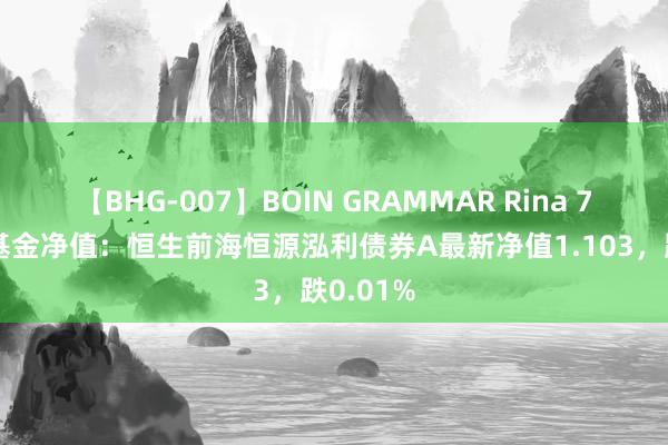 【BHG-007】BOIN GRAMMAR Rina 7月24日基金净值：恒生前海恒源泓利债券A最新净值1.103，跌0.01%