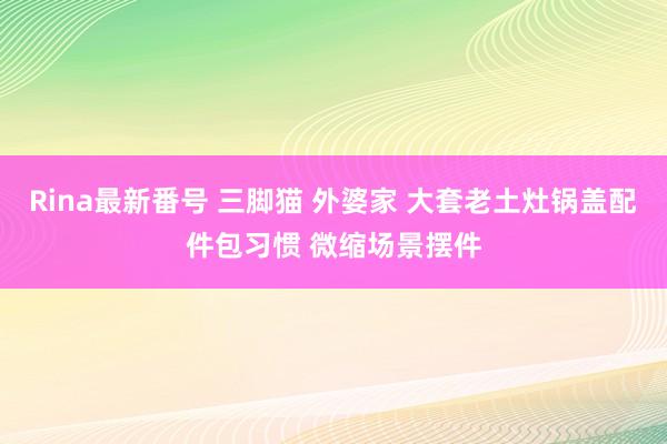 Rina最新番号 三脚猫 外婆家 大套老土灶锅盖配件包习惯 微缩场景摆件