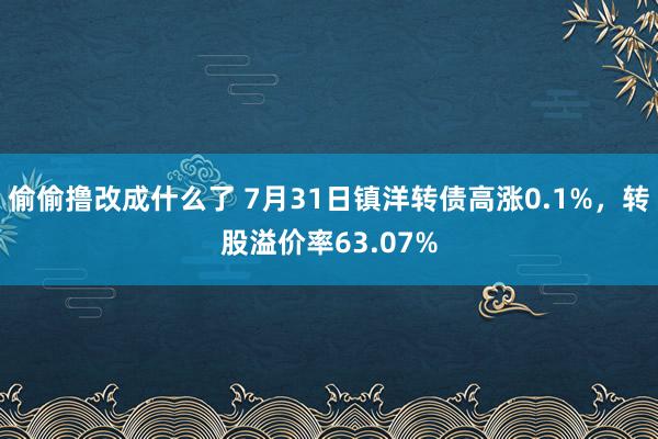 偷偷撸改成什么了 7月31日镇洋转债高涨0.1%，转股溢价率63.07%