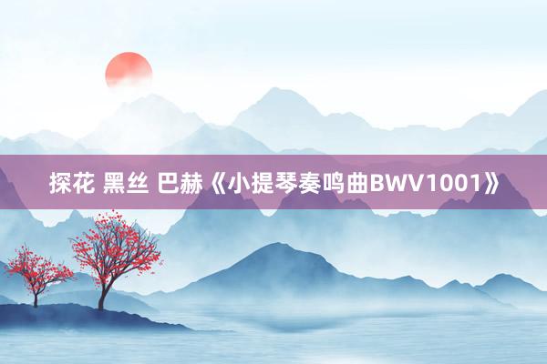 探花 黑丝 巴赫《小提琴奏鸣曲BWV1001》