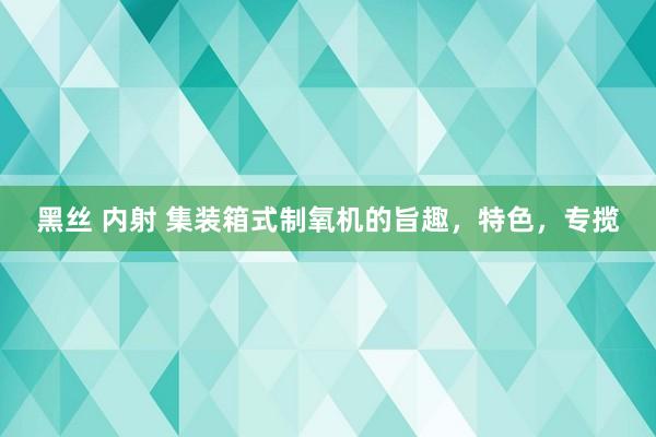 黑丝 内射 集装箱式制氧机的旨趣，特色，专揽