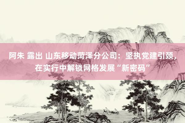 阿朱 露出 山东移动菏泽分公司：坚执党建引颈，在实行中解锁网格发展“新密码”