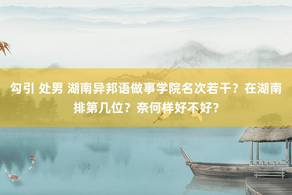 勾引 处男 湖南异邦语做事学院名次若干？在湖南排第几位？奈何样好不好？