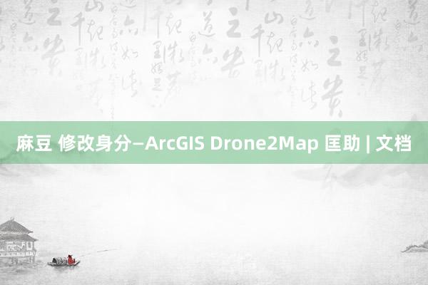 麻豆 修改身分—ArcGIS Drone2Map 匡助 | 文档